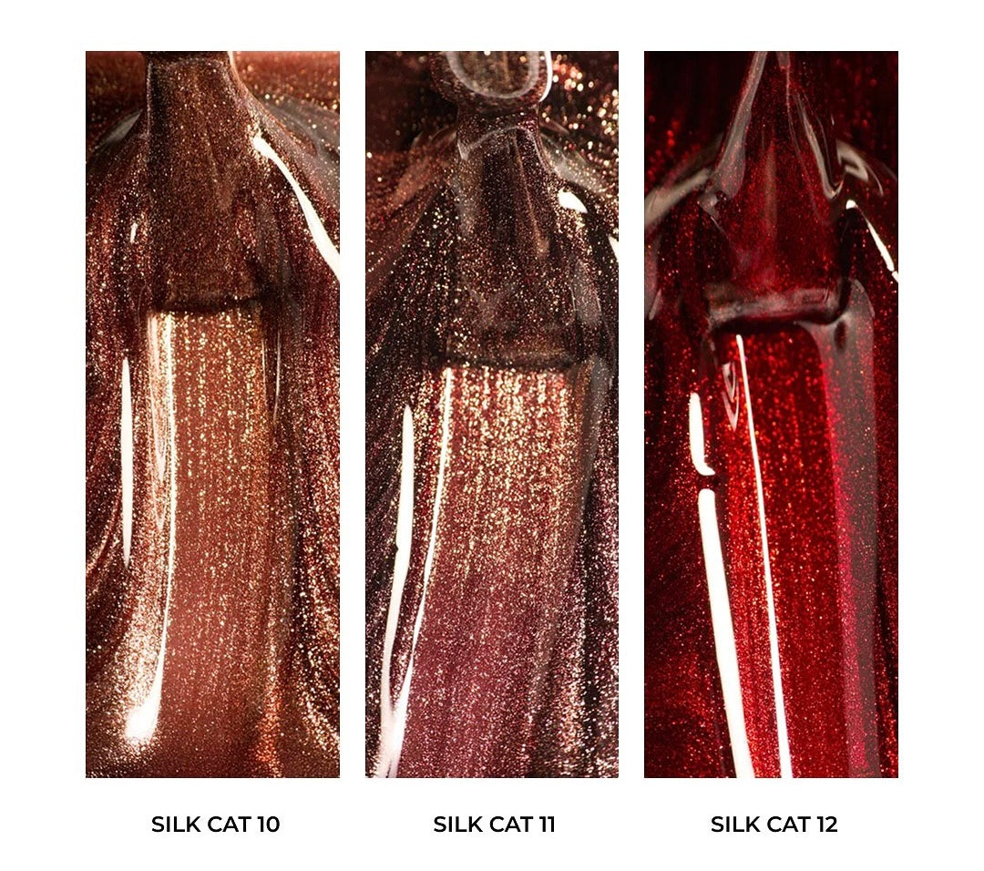 Collection Vernis semi permanent Albi Silk Cat Albi complète