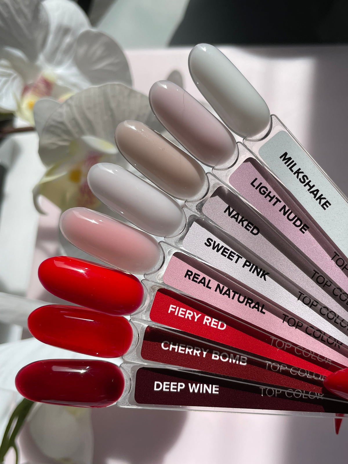 Top Color Real Natural - ONGLES PRO
