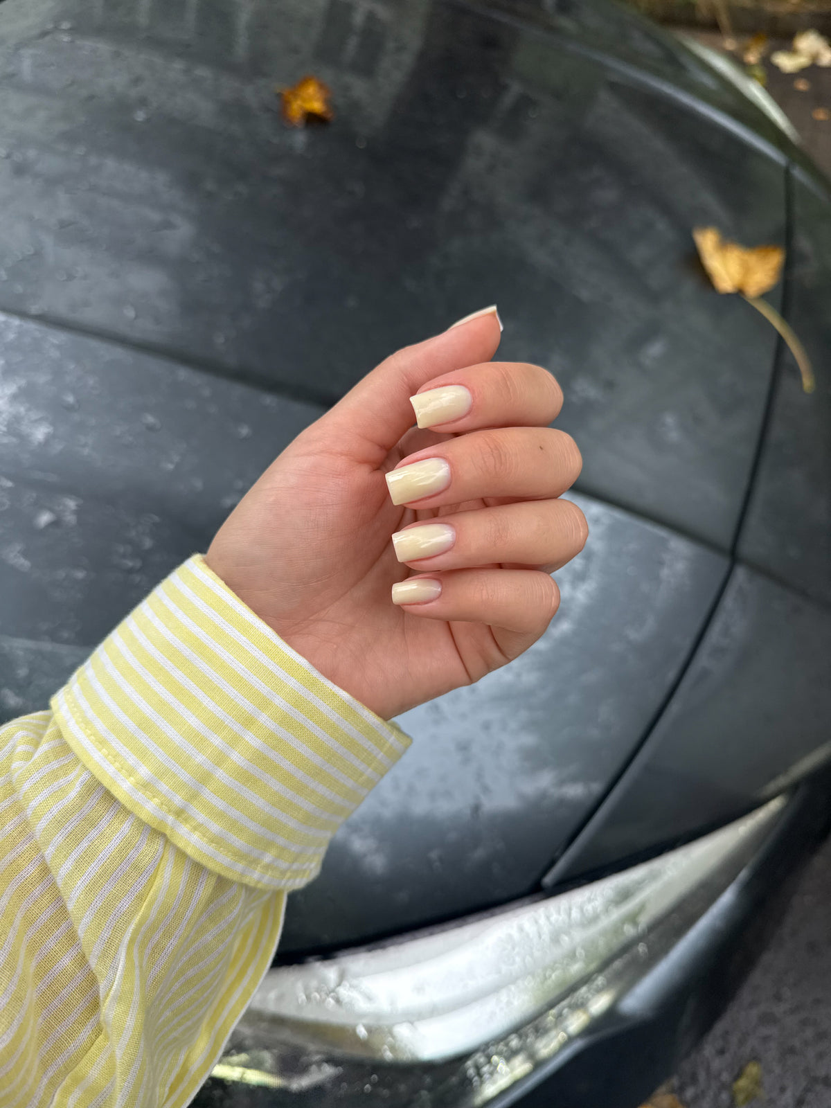 Albi Polygel liquide Jaune Butter